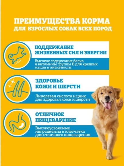 Влажный корм PEDIGREE для щенков всех пород, с говядиной в соусе, 28 шт x 85г