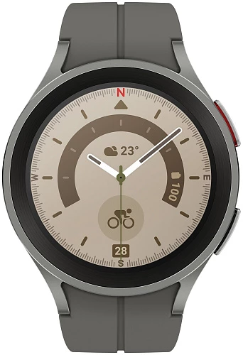 Умные часы Samsung Galaxy Watch 5 pro 45mm (Серый)