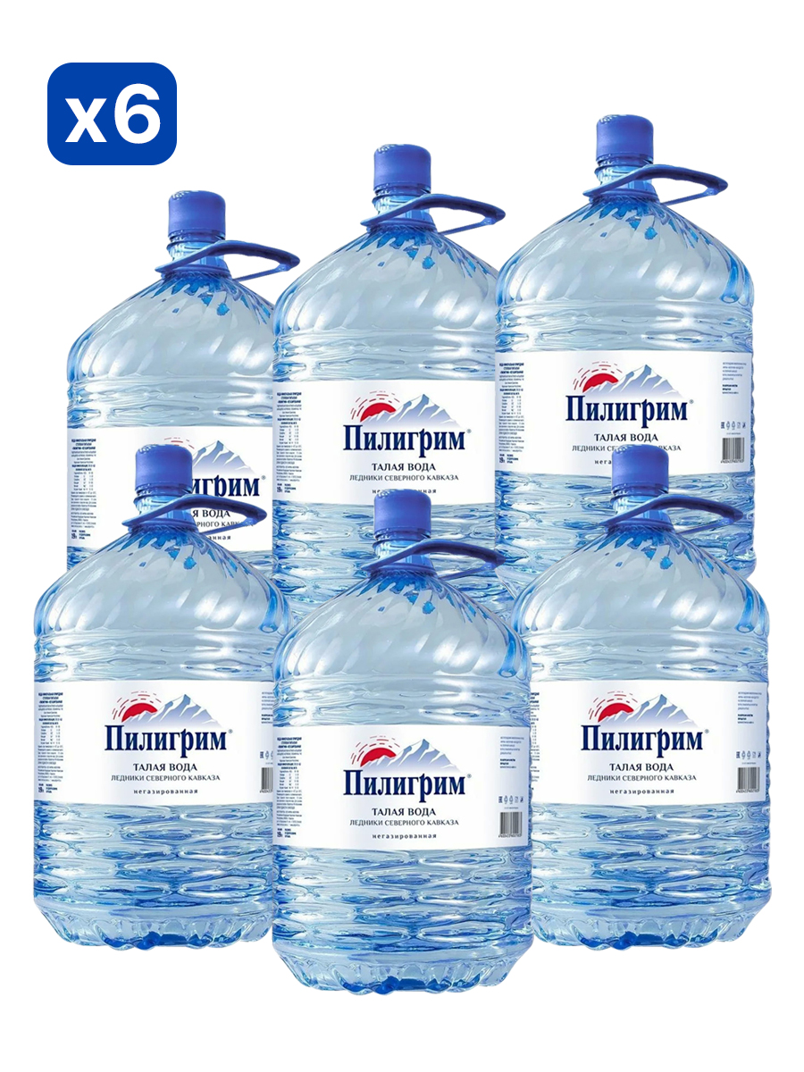 Минеральная питьевая столовая вода "Пилигрим" 19.0 литров (одноразовые бутыли) 6 шт