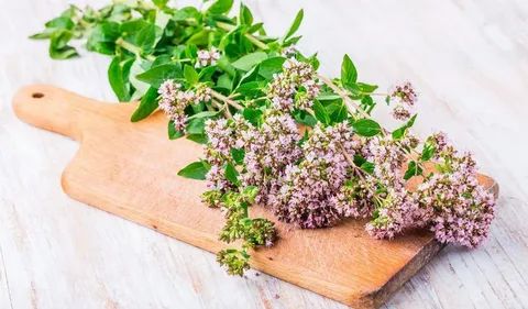 Орегано Мой Продукт 150г х 12шт.