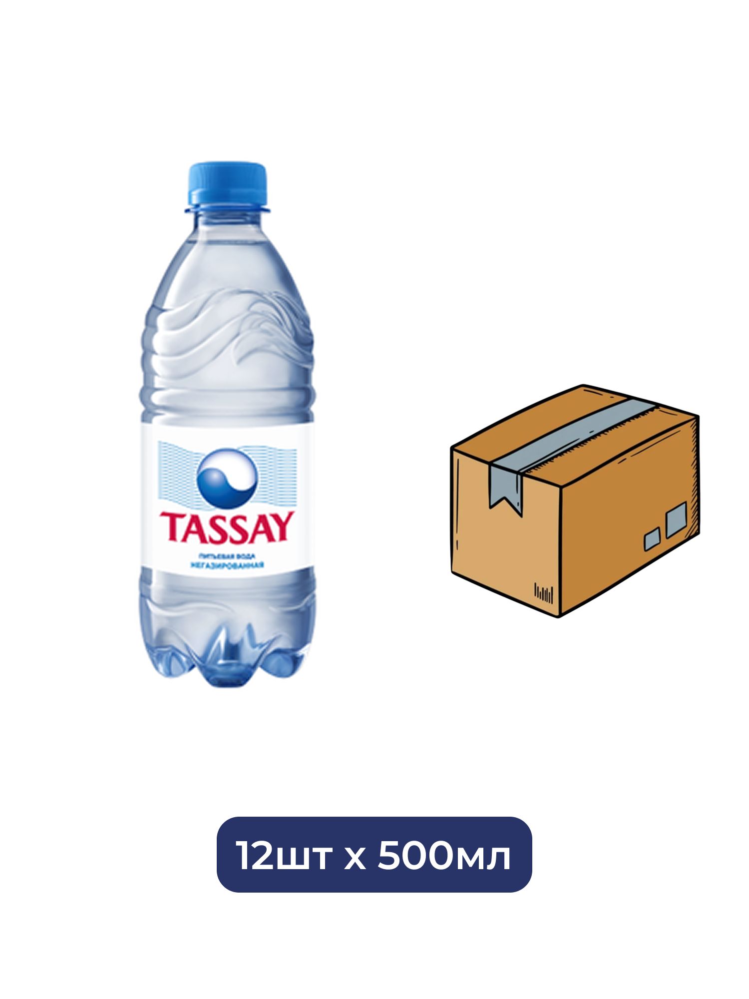 Вода природня питьевая TASSAY (Тассай), негазированная, ПЭТ, 0,5 л х 12шт.
