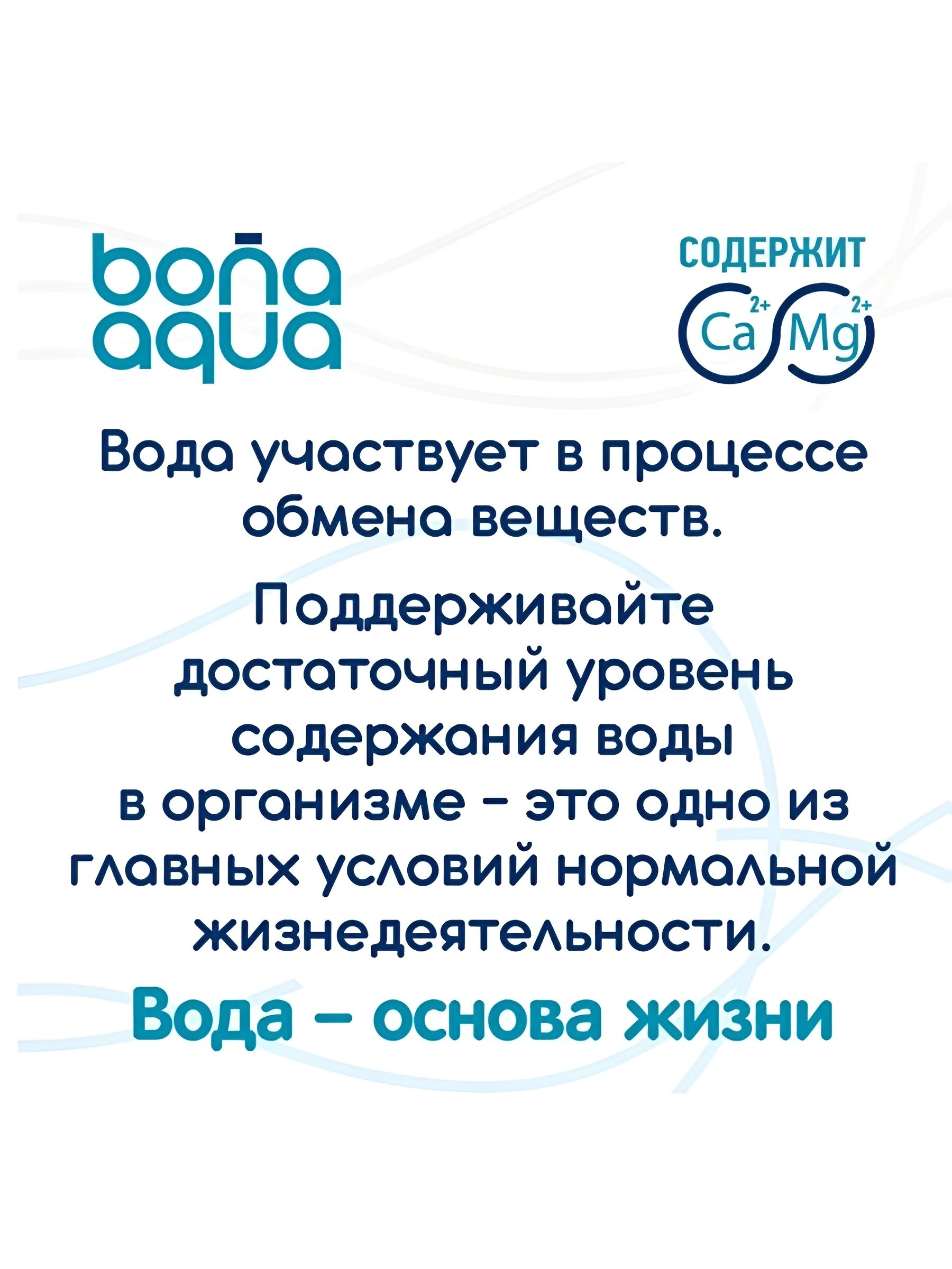 Вода питьевая негазированная BonaAqua 1 шт, 500 мл