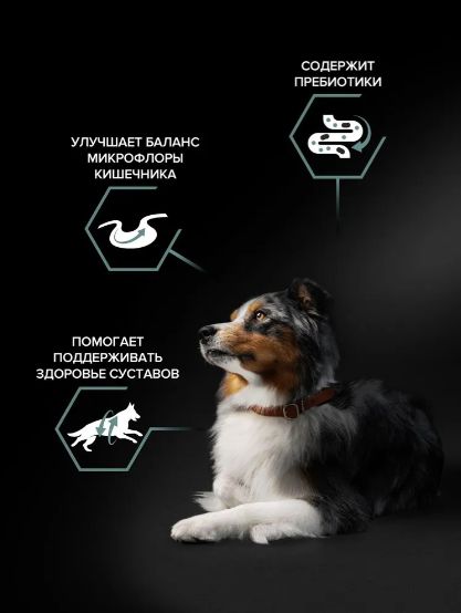 Сухой корм PRO PLAN Sensitive Digestion для взрослых собак средних пород с чувствительным пищеварением, с ягненком, 7 кг