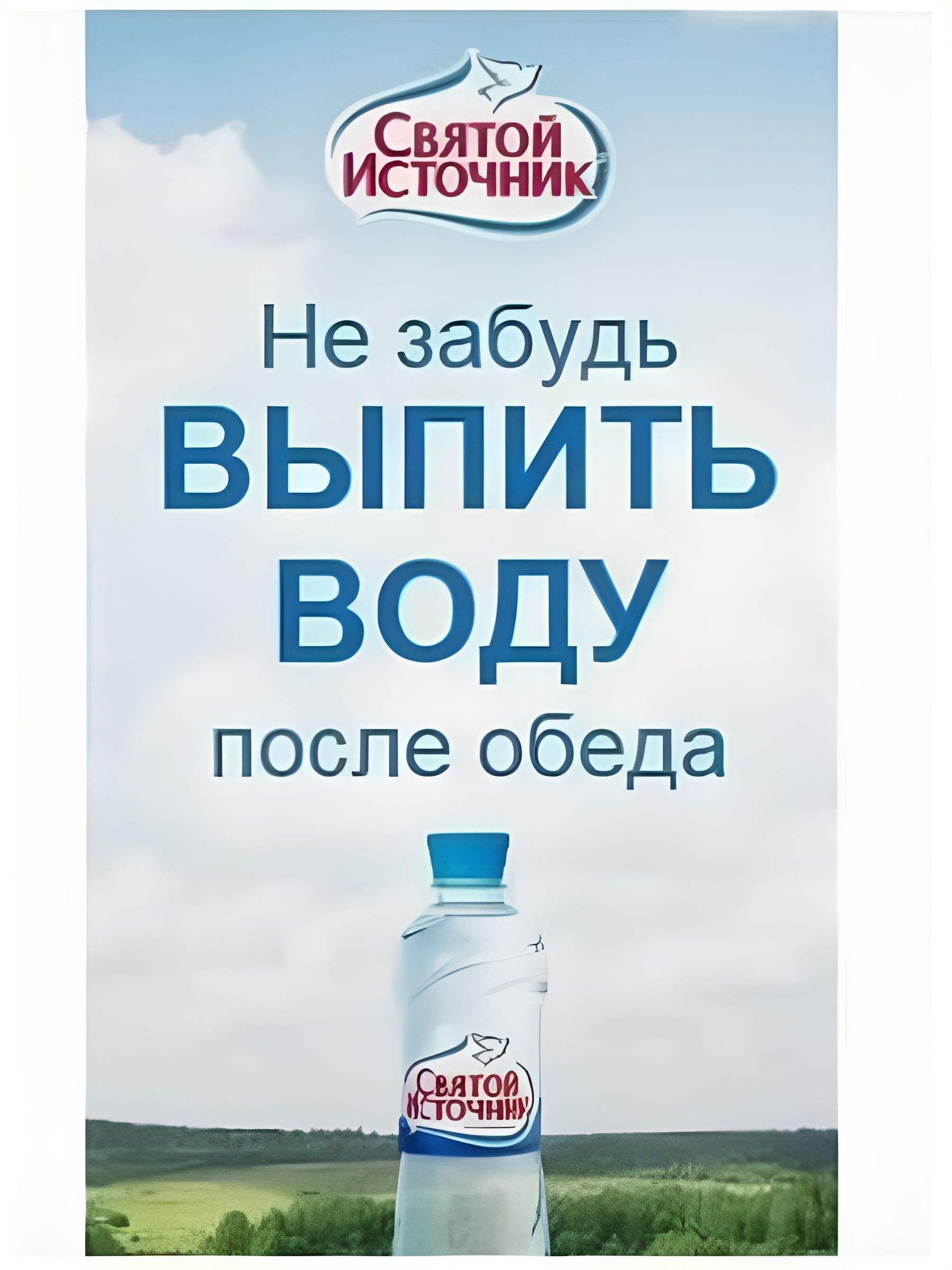 Вода Святой Источник с соком лесные ягоды газированная. Упаковка 1л х 12 шт.