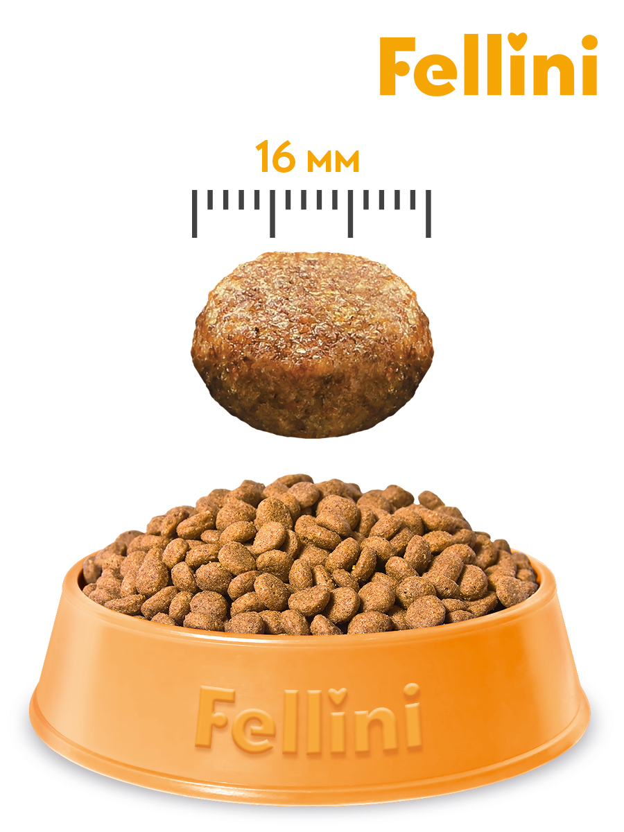 Корм сухой для собак Fellini "Мясное ассорти с полезными злаками", 15 кг