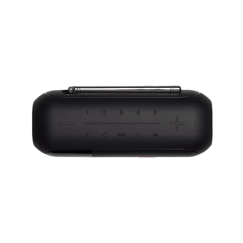 Портативная колонка JBL Tuner 2 (Черный)