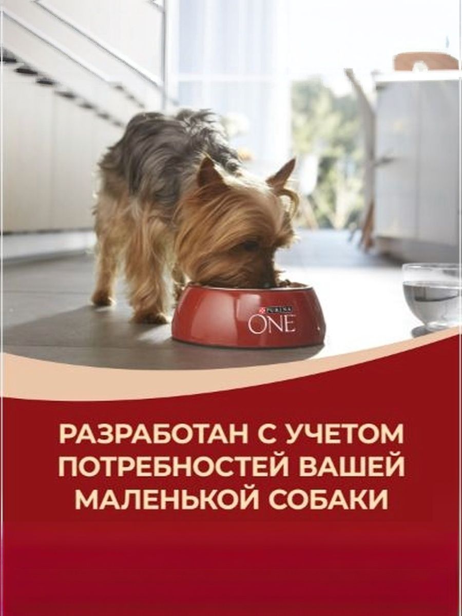 Корм сухой Purina One Мини для собак мелких пород с курицей и рисом 1.5кг