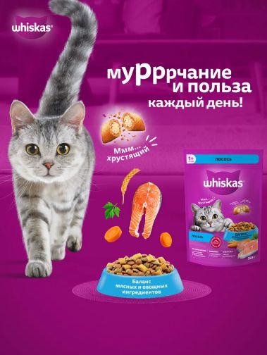 Сухой корм для кошек Whiskas Аппетитный обед, вкусные подушечки с лососем, нежный паштет, 5 кг