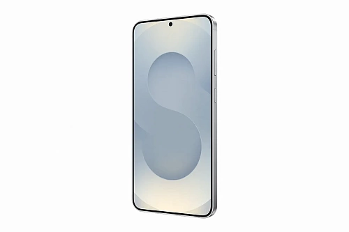 Смартфон Samsung Galaxy S25+ 12/256GB (Серый, 12 ГБ, 256 ГБ)