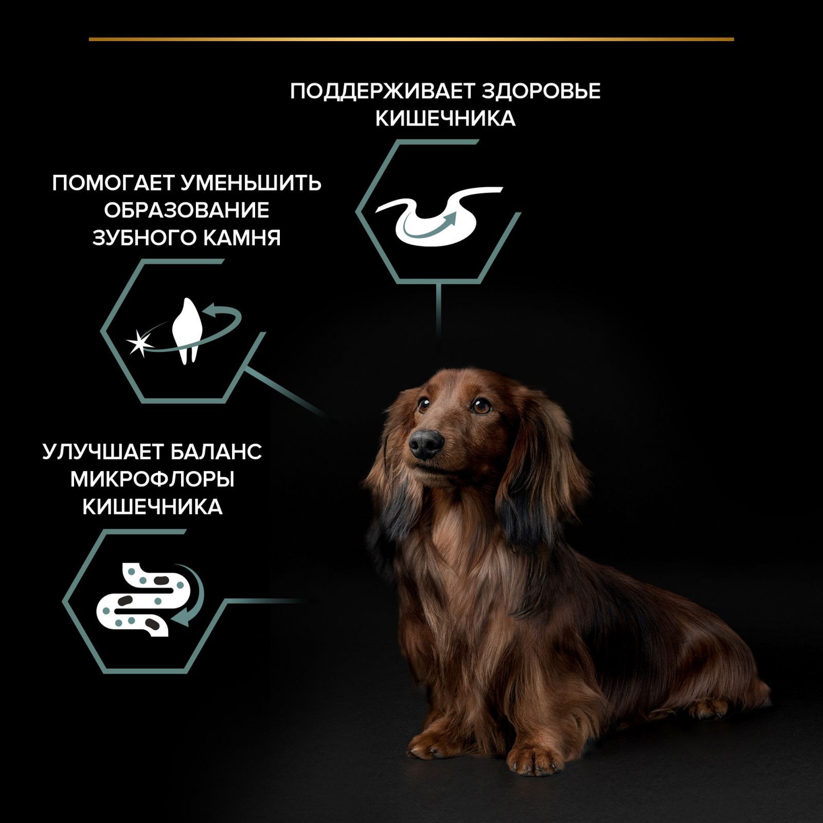 Сухой корм PRO PLAN Sensitive Digestion для взрослых собак мелких и карликовых пород с чувствительным пищеварением, с ягненком, 7 кг
