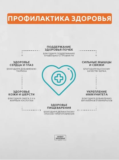 Сухой корм Grandorf Medium&Maxi Junior для собак для юниоров средних и крупных пород с ягненком и индейкой, 10 кг