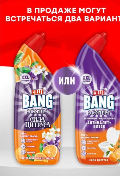 Набор Дезинфицирующих средств для туалета CILLIT BANG Антиналет+Блеск Сила цитруса, 750мл, 6 шт
