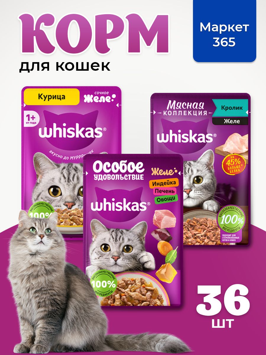 Корм для кошек влажный, Whiskas, набор три вкуса. Курица, кролик, индейка. в желе. 36 шт х 75 г