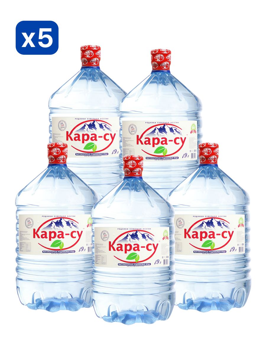 Вода питьевая Кара-Су 19л негазированная (бутыль одноразовая 5 шт.)