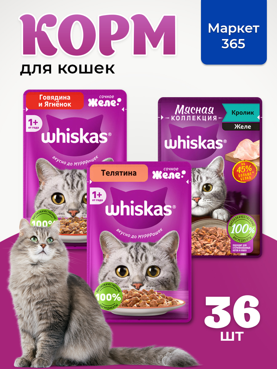 Корм для кошек влажный, Whiskas желе, Набор: Говядина и ягненок, кролик, телятина. 36 шт 75 г