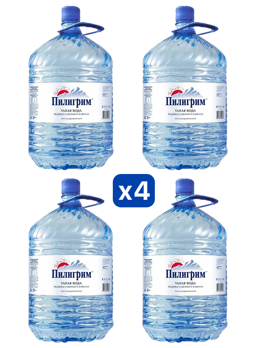 Минеральная питьевая столовая вода "Пилигрим" 19.0 литров (одноразовые бутыли) 4 шт