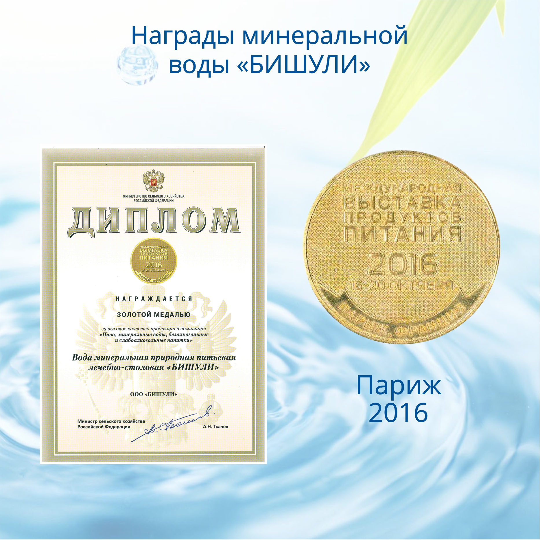 Вода минеральная лечебно-столовая Бишули 0.5 литра, без газа, пэт, 12 шт. в уп.