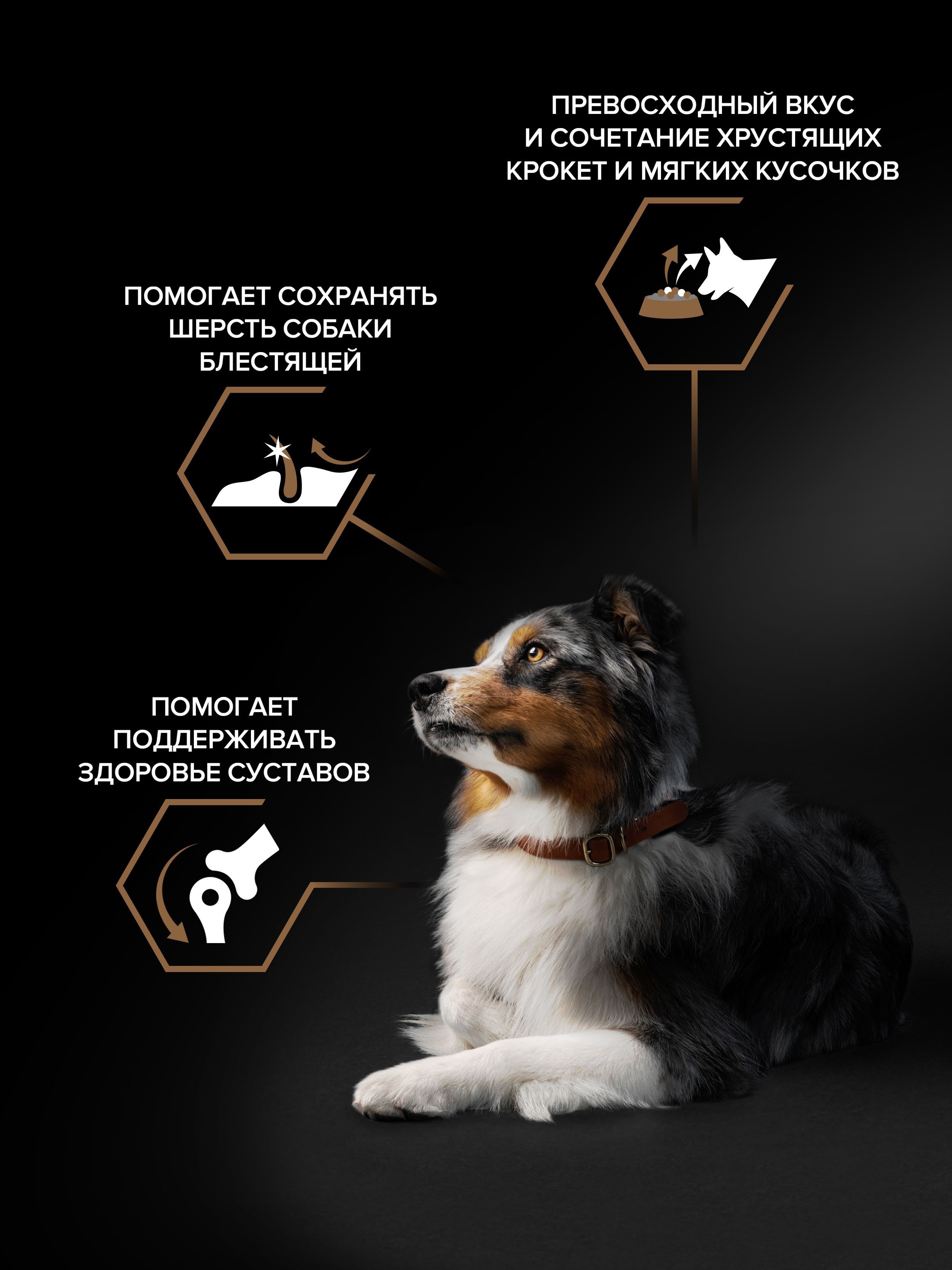 Сухой корм PRO PLAN Duo Delice для взрослых собак средних и крупных пород, с двойной текстурой гранул, с говядиной, 10 кг