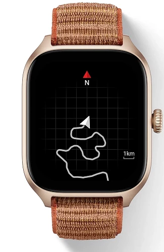 Умные часы Amazfit GTS 4 (Коричневый)