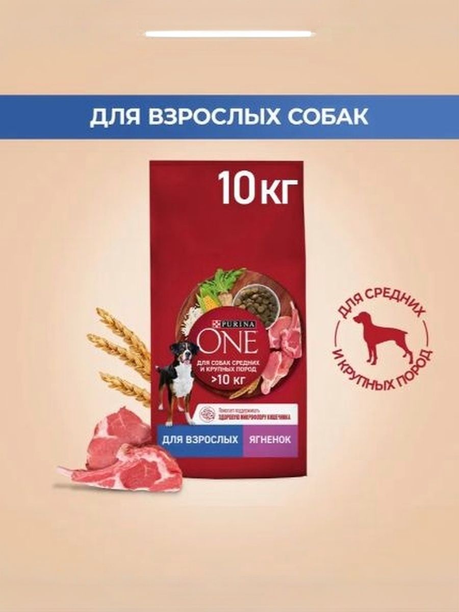 Сухой корм Purina ONE Adult для взрослых собак средних и крупных пород с ягненком и рисом, 10 кг