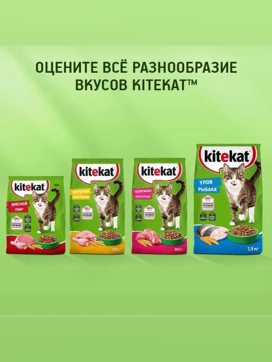 Сухой корм KITEKAT для взрослых кошек Улов Рыбака, 15кг