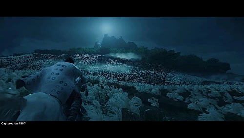 Игра Ghost of Tsushima (PlayStation 4, PlayStation 4)