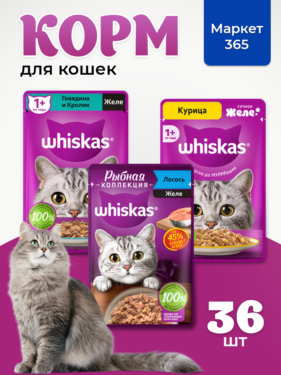 Корм для кошек влажный, Whiskas желе, Набор: Говядина и кролик; курица, лосось. 36 шт 75 г