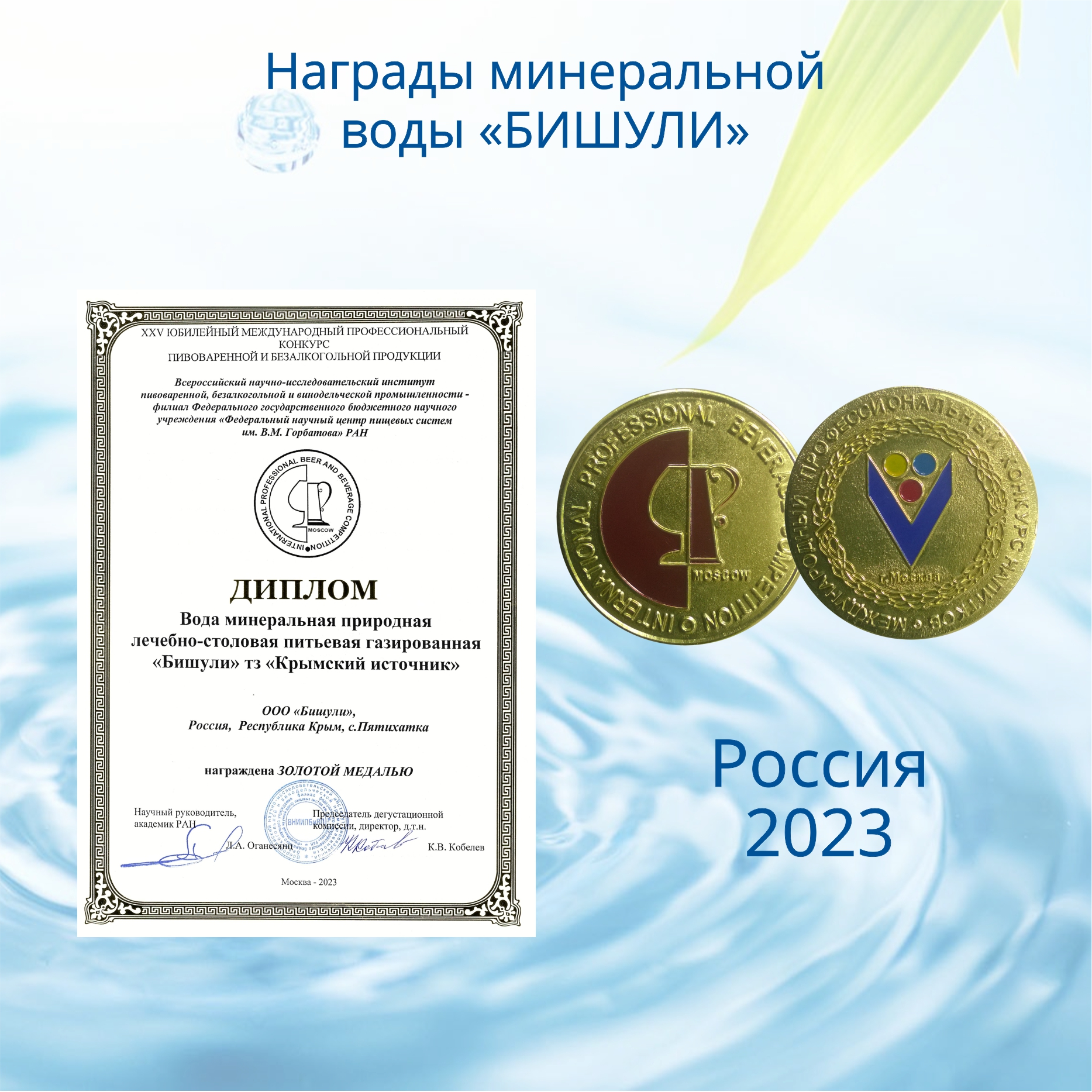 Вода минеральная лечебно-столовая Бишули 0.5 литра, без газа, пэт, 12 шт. в уп.