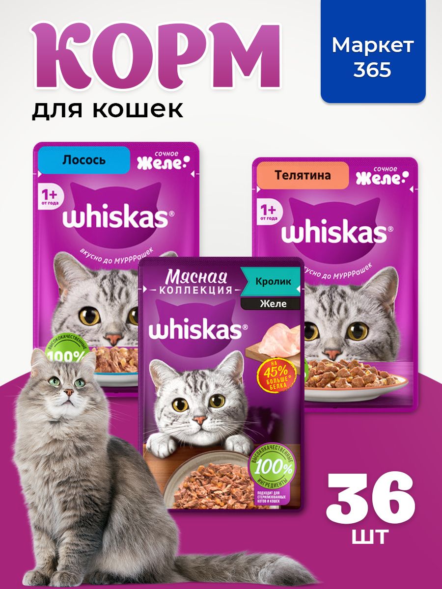 Корм для кошек влажный, Whiskas, набор три вкуса. Телятина, кролик, лосось. в желе. 36 шт х 75 г