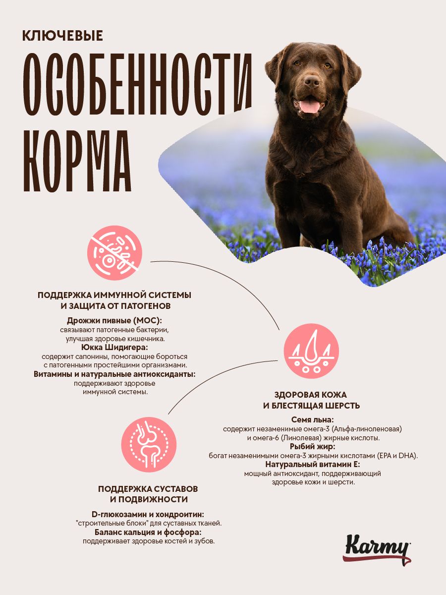 KARMY Delicious Medium & Maxi с телятиной, 14кг. Полнорационный сухой корм для привередливых собак средних и крупных пород старше 1 года.