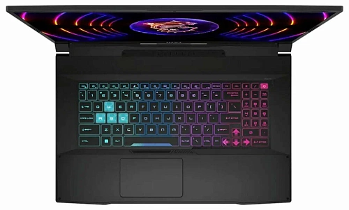 Ноутбук MSI Katana 17 B13UCX-1428XRU (17.3"/i5-13420H/16GB/512GB/RTX 2050) (Чёрный, 16 ГБ, 512 ГБ)