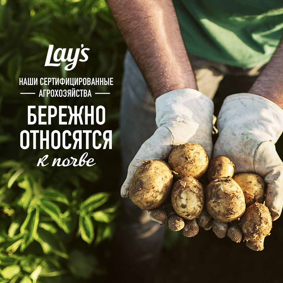 Чипсы Lay's лайм чили, 105г х 8шт.