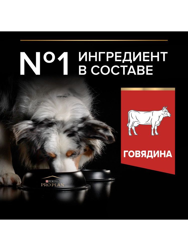 Сухой корм PRO PLAN Duo Delice для взрослых собак средних и крупных пород, с двойной текстурой гранул, с говядиной, 10 кг