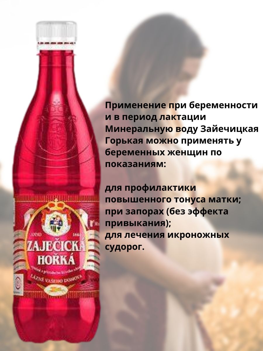 Вода минеральная лечебная Zajecicka Horka (Зайечицкая горькая) 0,5 л х 6шт