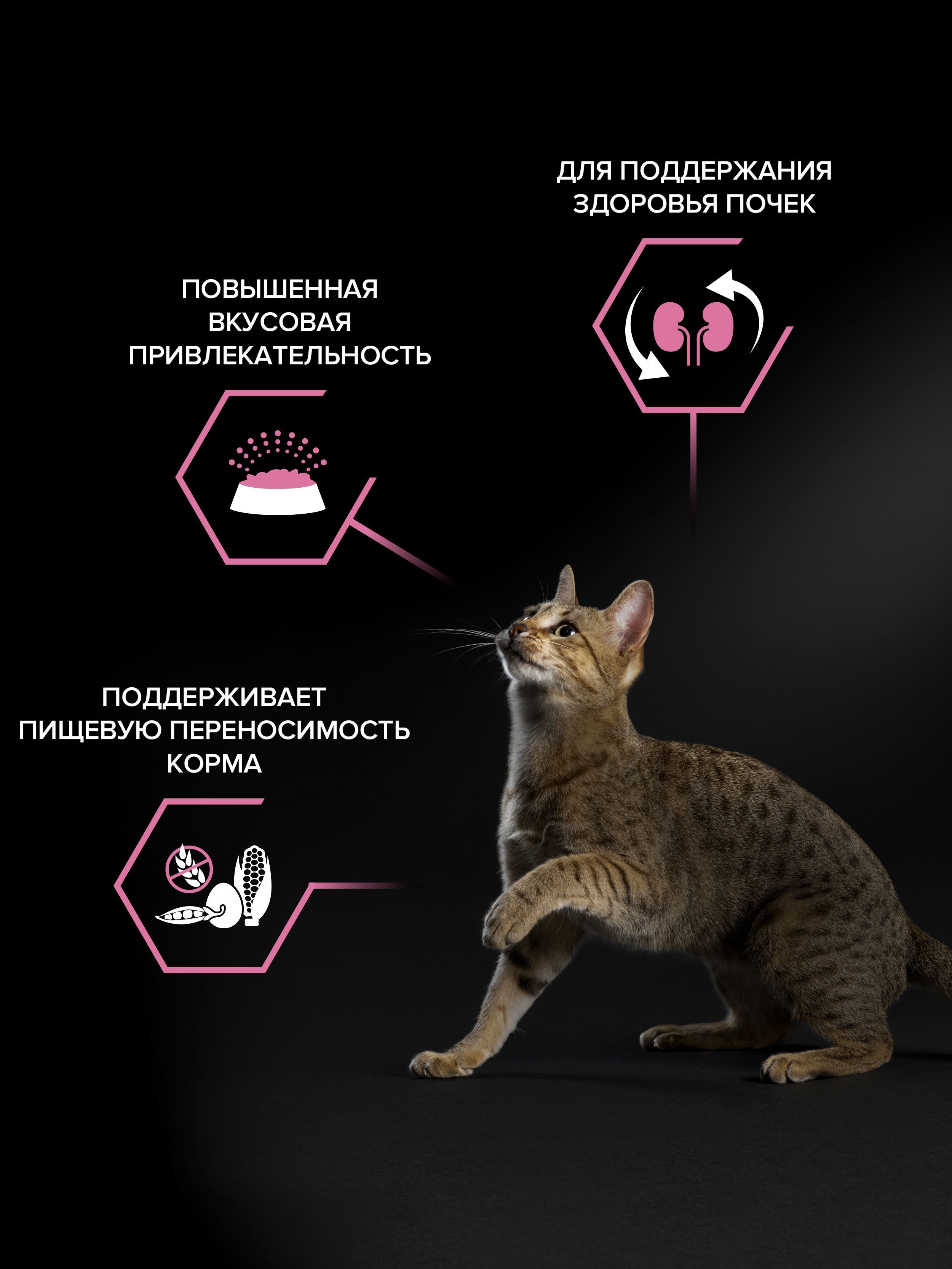Сухой корм PRO PLAN Delicate Digestion для взрослых кошек с чувствительным пищеварением, с ягненком, 1,5 кг