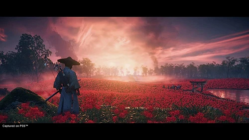 Игра Ghost of Tsushima (PlayStation 4, PlayStation 4)