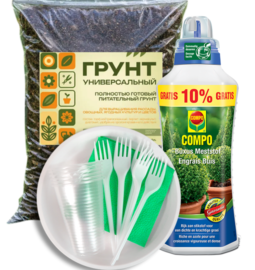Дача, сад