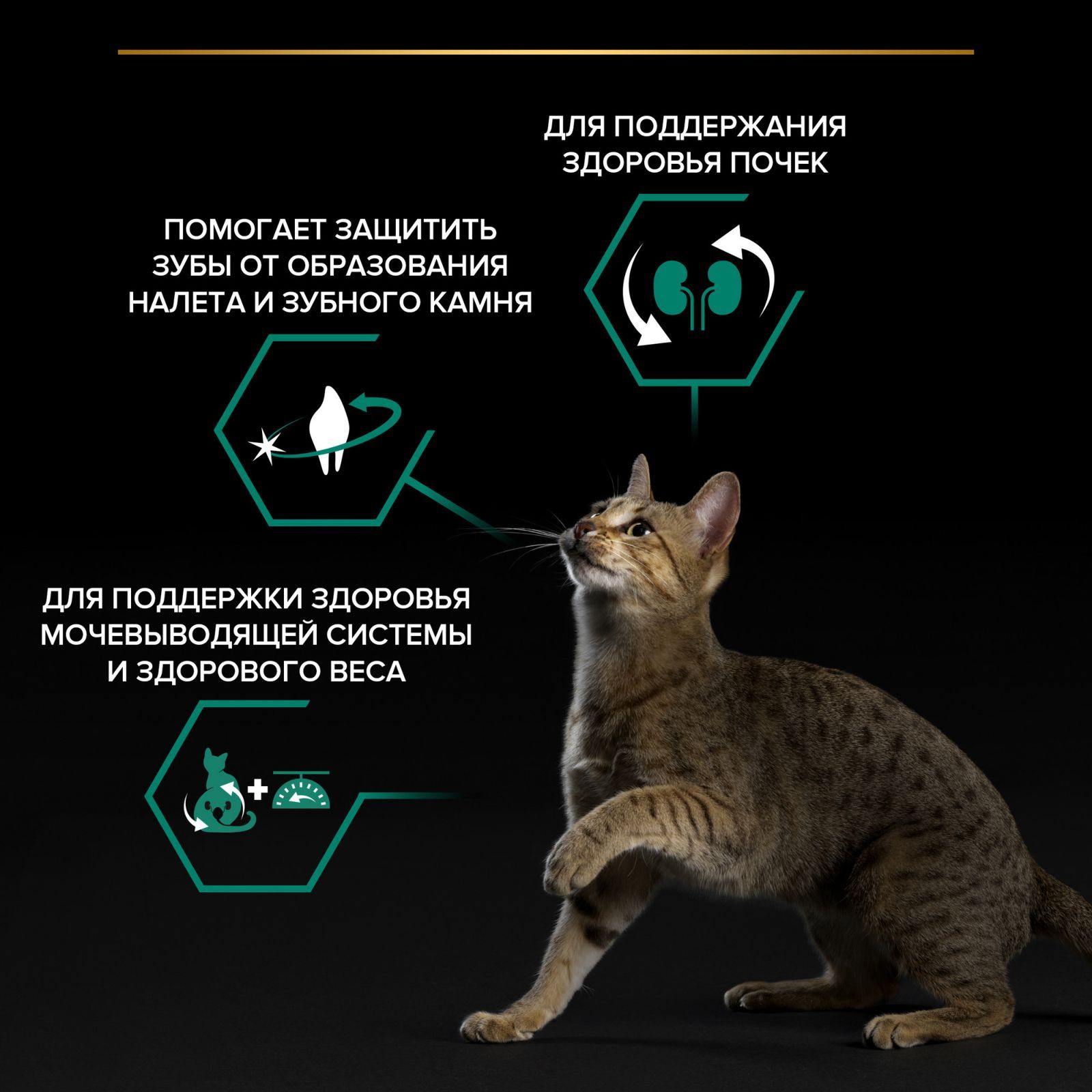 Сухой корм PRO PLAN Sterilised Renal Plus для взрослых стерилизованных кошек для поддержания здоровья почек, с индейкой, 1,5 кг