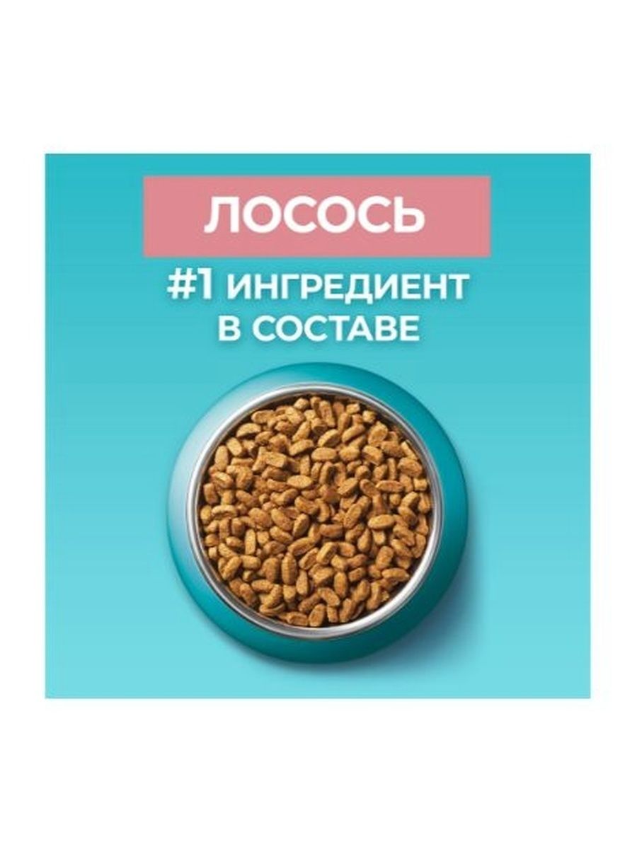 Сухой корм Purina One для взрослых кошек с лососем, 9,75 кг.