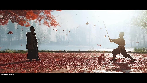 Игра Ghost of Tsushima (PlayStation 4, PlayStation 4)