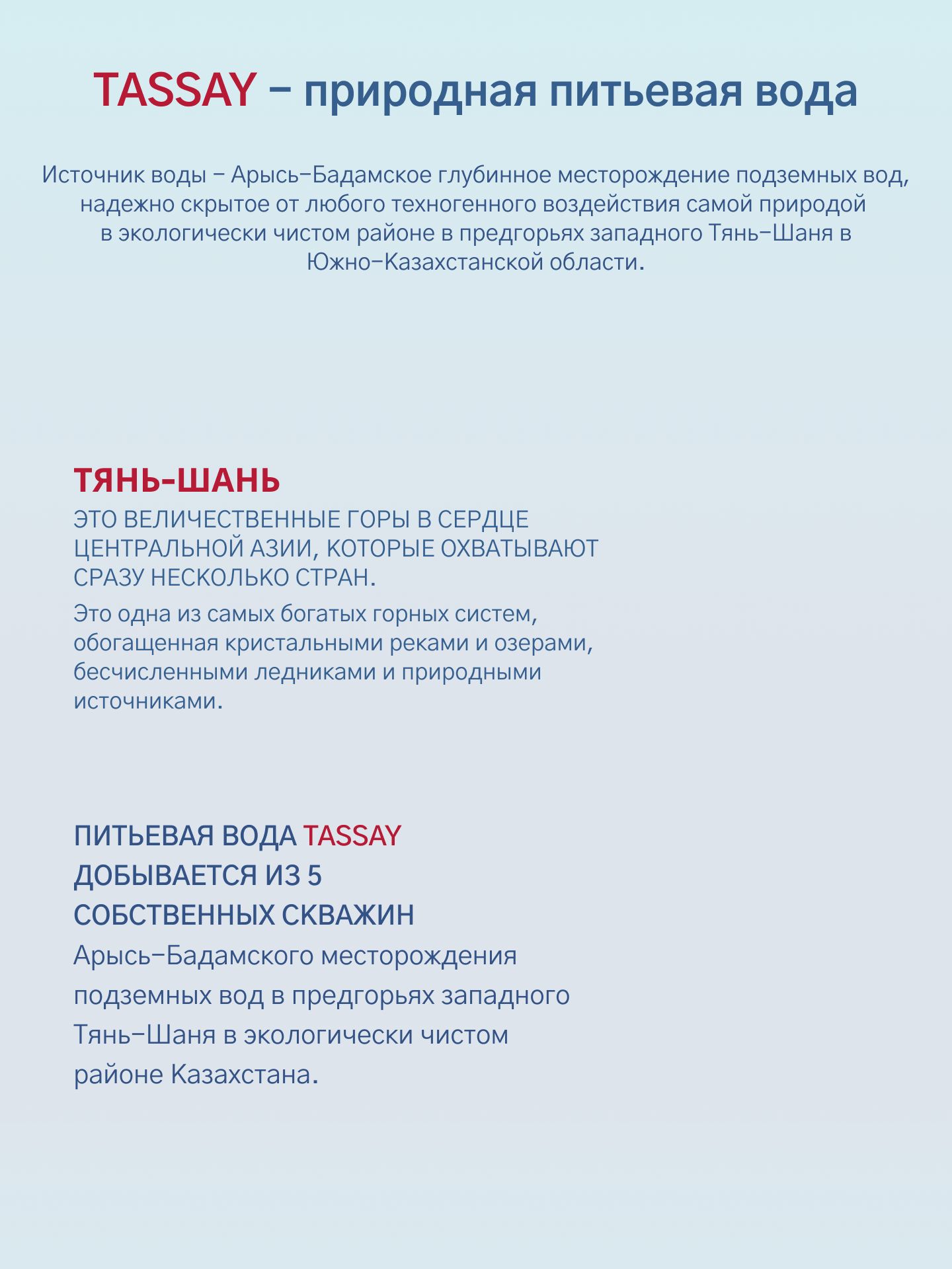 Вода природня питьевая TASSAY (Тассай), газированная, ПЭТ, 0,5 л х 12шт.