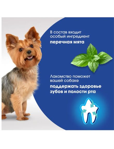 Лакомство для собак PERFECT FIT говядина и мята Для здоровья зубов и полости рта, 12 шт по 90г