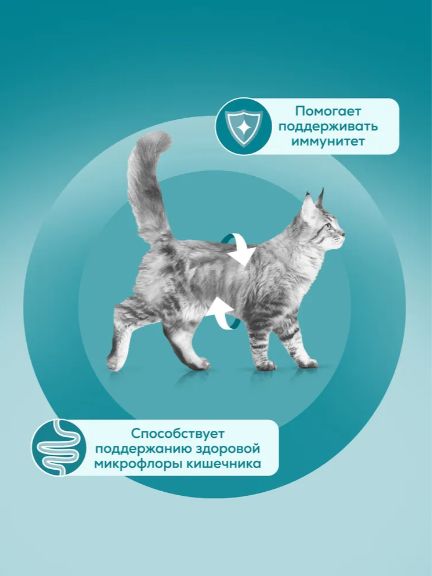 Влажный корм Purina One для взрослых кошек особенно привередливых к вкусу с индейкой, уткой и морковью, 75г х 26 шт