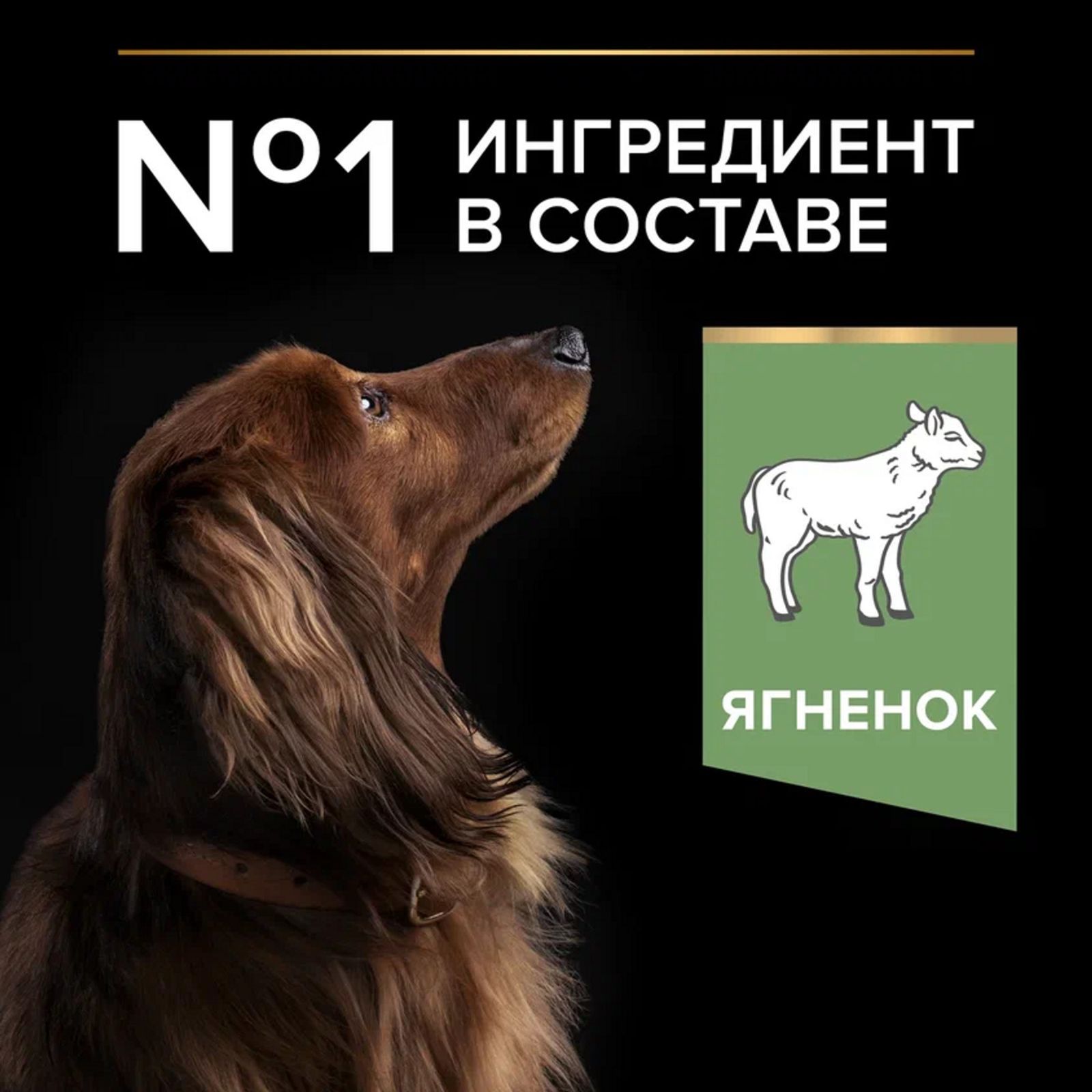 Сухой корм PRO PLAN Sensitive Digestion для взрослых собак мелких и карликовых пород с чувствительным пищеварением, с ягненком, 7 кг