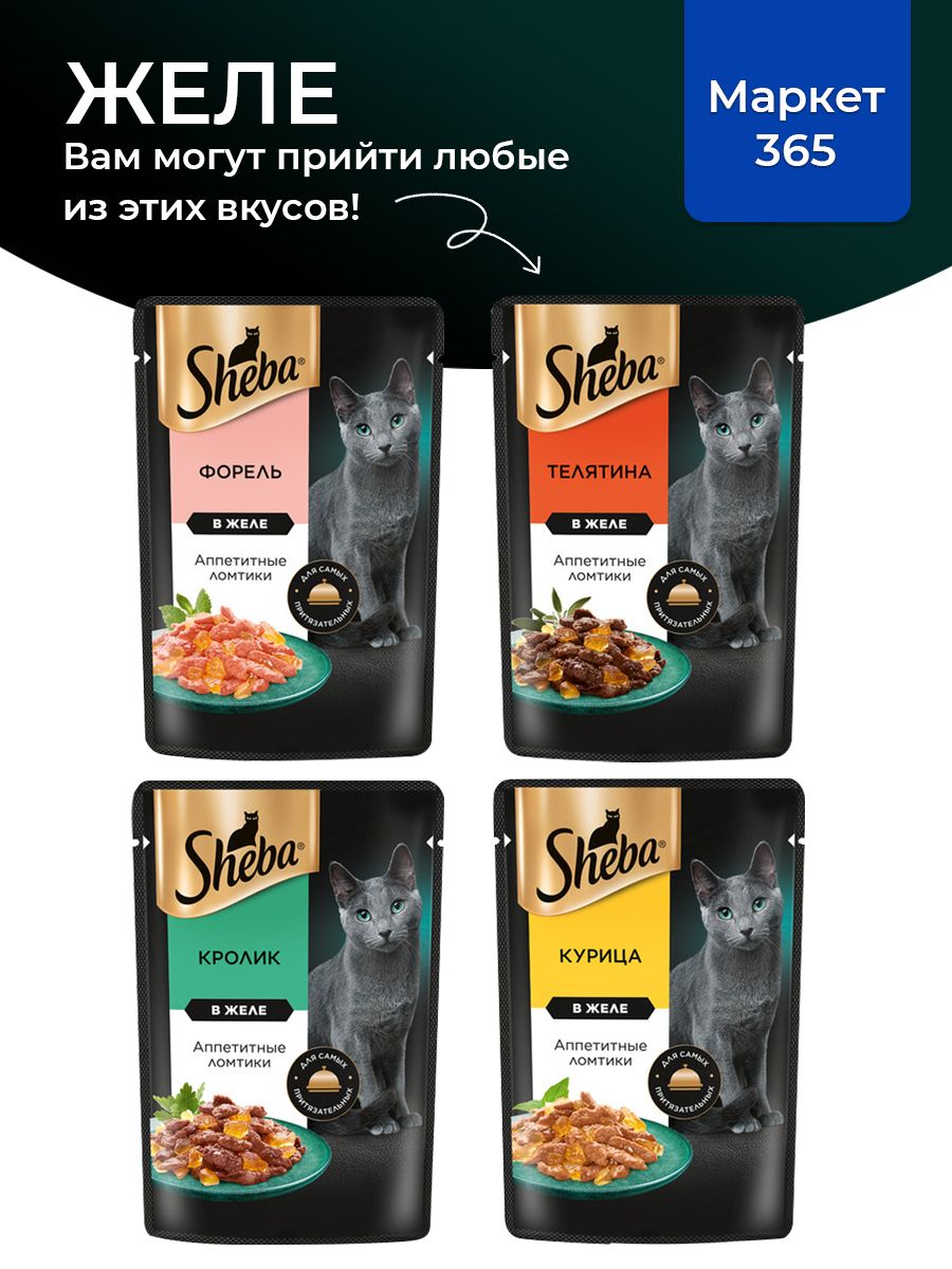 Влажный корм для кошек Sheba. Набор "три вкуса". Телятина, курица, форель. (Ломтики в желе, 36 шт х 75 г)
