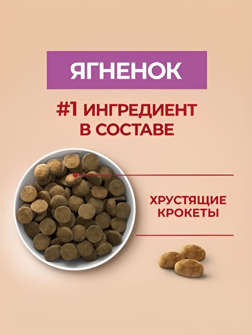 Сухой корм Purina ONE Adult для взрослых собак средних и крупных пород с ягненком и рисом, 10 кг
