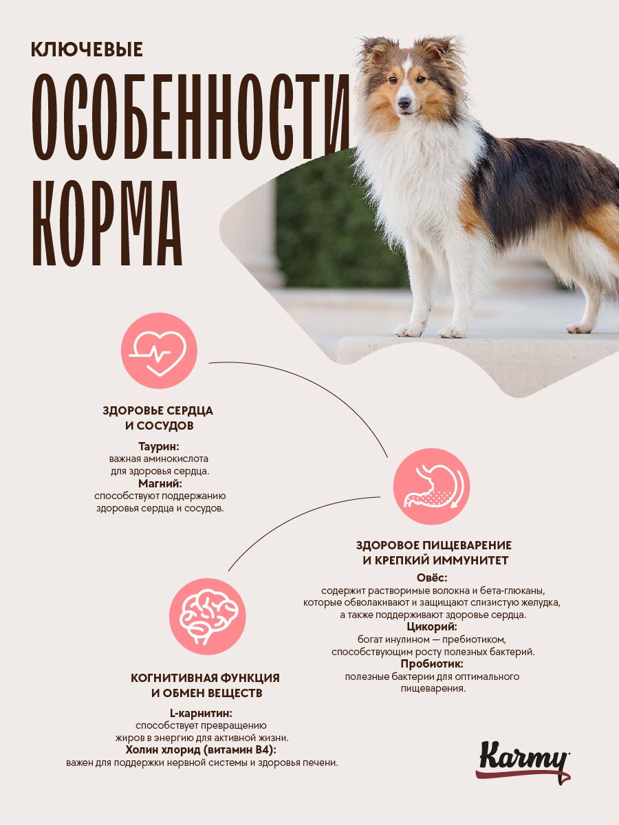 KARMY Delicious Medium & Maxi с телятиной, 14кг. Полнорационный сухой корм для привередливых собак средних и крупных пород старше 1 года.