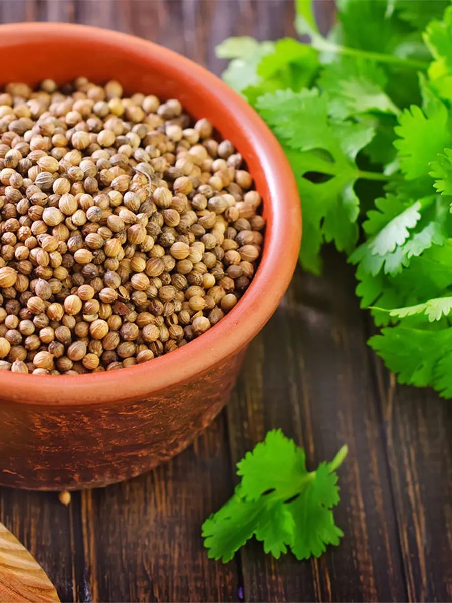 Кориандр Мой Продукт Зерно 330г х 10шт.