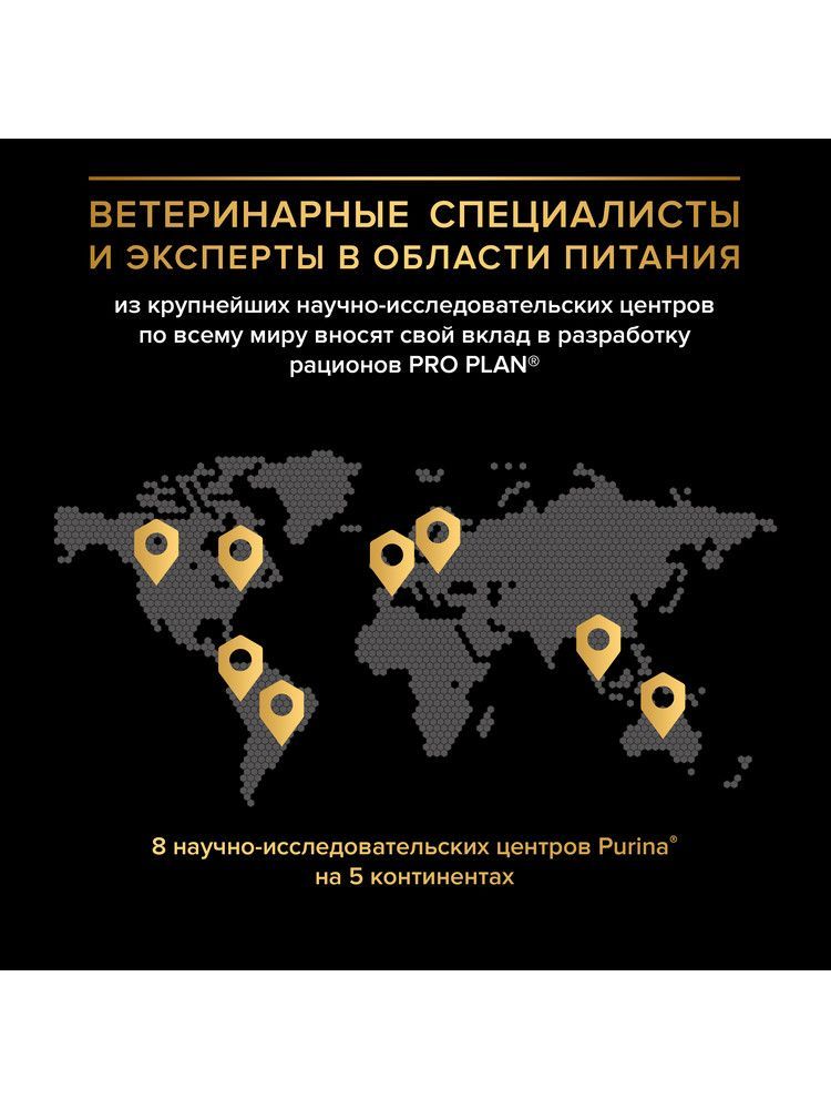 Сухой корм PRO PLAN Duo Delice для взрослых собак средних и крупных пород, с двойной текстурой гранул, с говядиной, 10 кг
