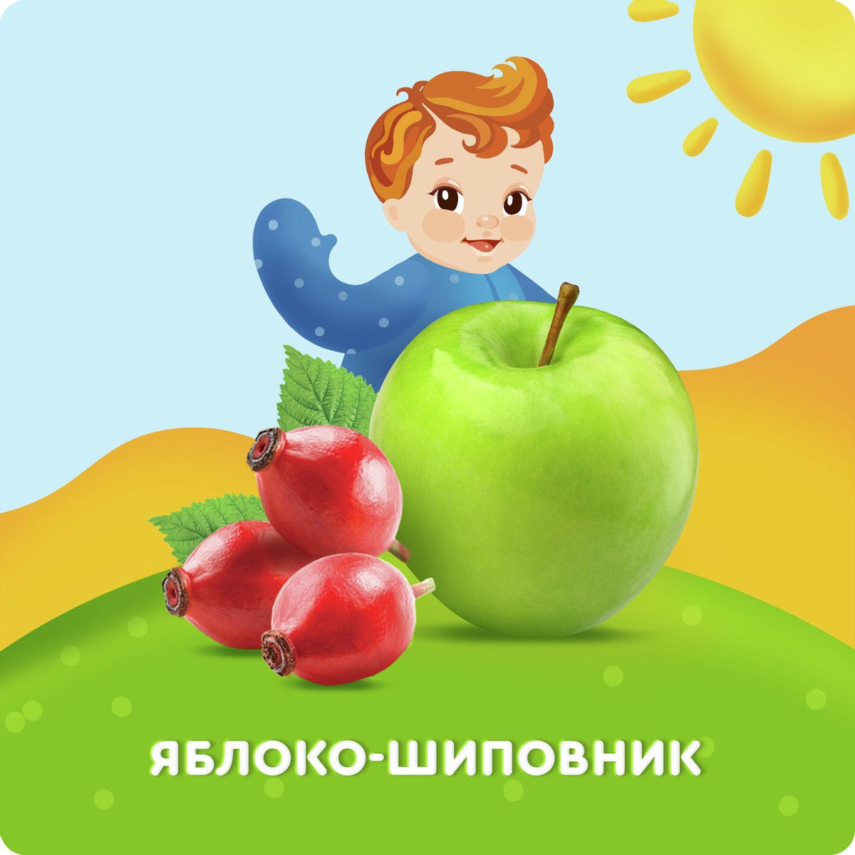 Сок детский Агуша Яблоко и шиповник с 5 месяцев, 200мл (Упаковка 18 шт)